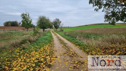 Zapraszam do obejrzenia działki 9 896 m² w Marynowie działka Marynowo