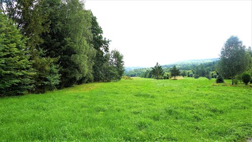 działka na sprzedaż 5500m2 działka Męcina Wielka