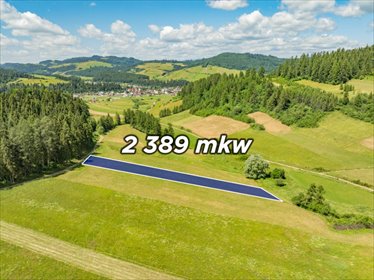 Na sprzedaż działka 2389 m² w Niedzicy - idealna pod inwestycję lub rekreację działka Niedzica, Kąciki