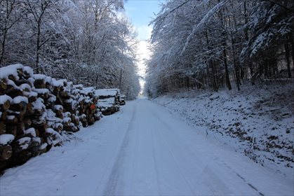 działka na sprzedaż 47400m2 działka Huta Gogołowska