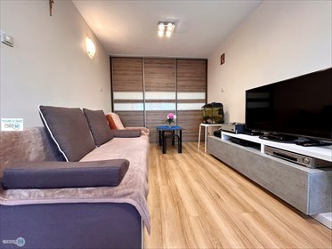 Kawalerka z windą, panoramiczne okna, osiedle Barwinek mieszkanie Kielce, Osiedle Kochanowskiego, Osiedle Kochanowskiego