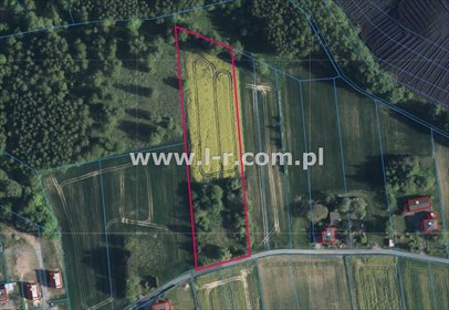 działka na sprzedaż 7524m2 działka Gogołowa