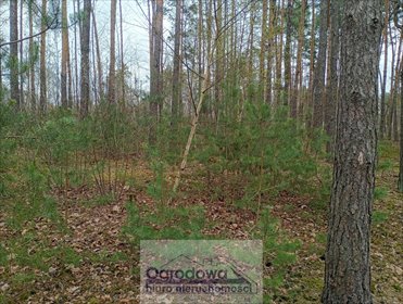 działka na sprzedaż 1280m2 działka Wilcza Góra