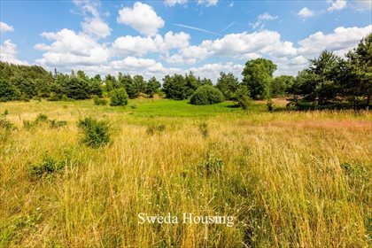 Działka budowlana na sprzedaż Borkowo, Starowiejska 1 628m2 Foto 2