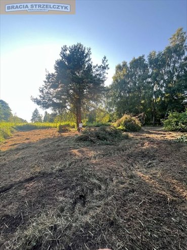 Działka 806 m² z dostępem do strumienia (Łysonie) działka Łysonie