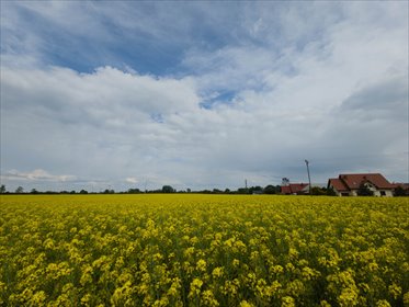 Teren inwestycyjny 1,19 ha pod osiedle domów działka Przeworsk