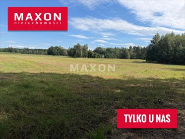 Działka budowlana 8 100 m² w Dąbkowej Parowej polecam działka Dąbkowa Parowa
