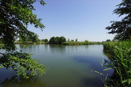 Sprzedam działkę 2,27 ha nad Zalewem w Niepołomicach działka Niepołomice, Jazy, Ziołowa