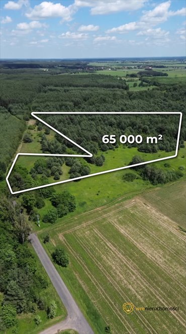 Działka 65,8 ha w Wójcicach (blisko Borów Stobrawskich) działka Wójcice