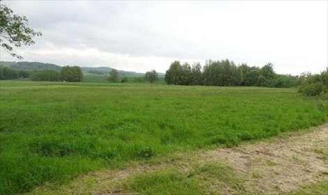 Działka inna na sprzedaż Klimkówka 3 000m2 Foto 1