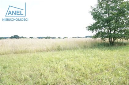 Działka rolna na sprzedaż Mikołów, Paniowy 3 260m2 Foto 3