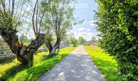 Działka budowlana 2300 m² w Ząbrowie - polecam działka Ząbrowo