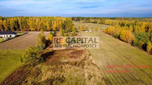 działka na sprzedaż 3750m2 działka Borzęcin Duży