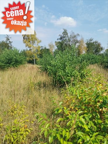 działka na sprzedaż 1151m2 działka Morzyczyn
