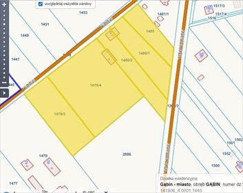 działka na sprzedaż 15164m2 działka Gąbin, Kielniki