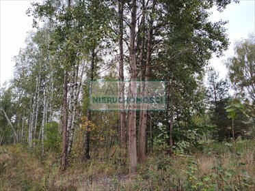 Działka 1500 m² w Czarnego Lasu z mediami i planem działka Czarny Las