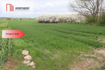 Do sprzedania działka rolna 0,95 ha z asfaltowym dojazdem działka Wilków Średzki, Wnorów