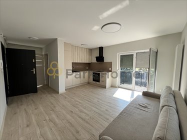 mieszkanie na wynajem 40m2 mieszkanie Święciechowa