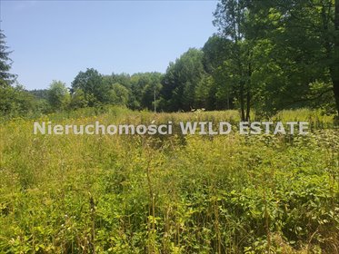 działka na sprzedaż 1564m2 działka Lesko, Bezmiechowa Dolna