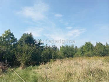 działka na sprzedaż 700m2 działka Iwiny