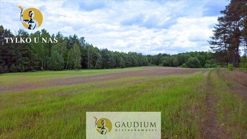 działka na sprzedaż 51775m2 działka Męcikał