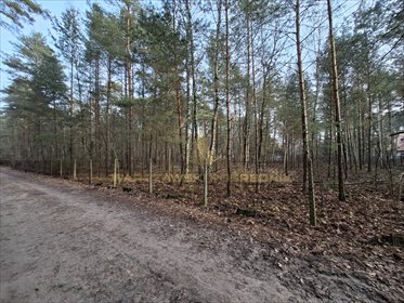 działka na sprzedaż 3000m2 działka Izabelin C