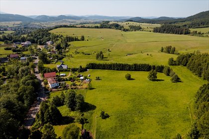 Działka 564 m² z widokiem na Góry Krucze, las, blisko Makowa działka Chełmsko Śląskie, Działki przy lesie tylko 9 min od Makowa!