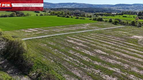 Działka budowlana 1098 m² w Starym Wielisławiu – możliwość dokupienia działka Stary Wielisław