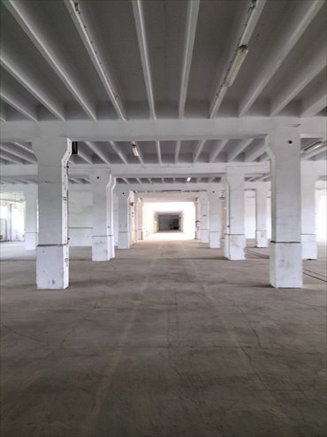 Magazyn na wynajem Będzin, Gen. Tadeusza Kościuszki 3 230m2 Foto 4