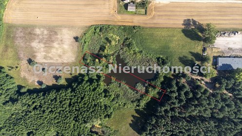 Działka 18 700 m² w Przewóz (blisko jeziora Gopło) działka Piotrków Kujawski, Przewóz