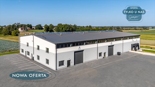 magazyn na wynajem 1628m2 magazyn Wróblew