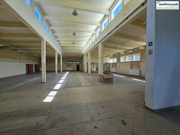 lokal użytkowy na wynajem 530m2 lokal użytkowy Piotrków Trybunalski