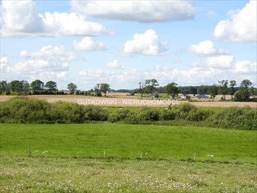 Działka rolna z możliwością zabudowy nad Jeziorakiem (1,57 ha) działka Tynwałd