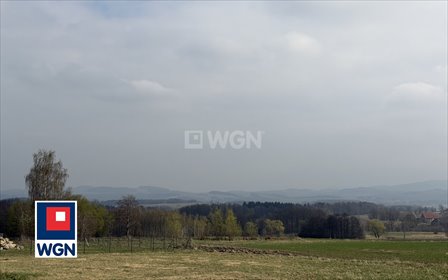 Sprzedam atrakcyjną działkę 2000 m² w Grudzi działka Grudza, Grudza, Grudza