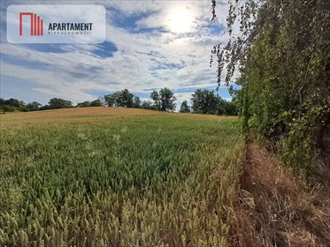 działka na sprzedaż 6540m2 działka Czarlin, Lipowa
