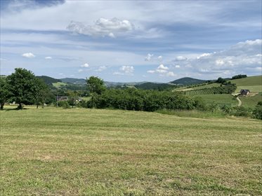 Działka budowlana na sprzedaż Żbikowice 1 226m2 Foto 3
