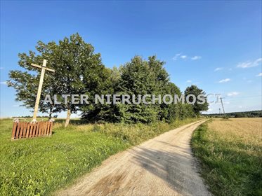Działka rolna na sprzedaż Pawełki 8 300m2 Foto 1