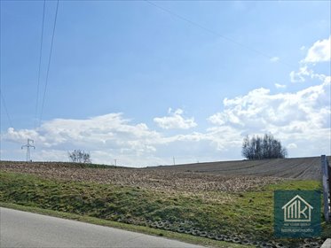 działka na sprzedaż 8100m2 działka Bodzanów