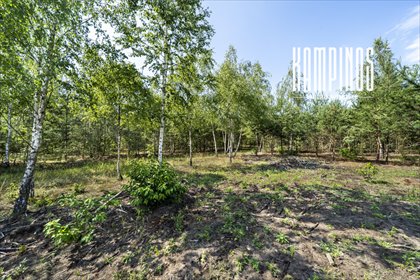 Działka rolna w Wojcieszynie blisko Kampinosu, 3000 m² działka Wojcieszyn