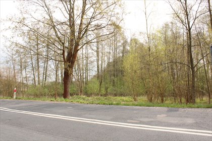 działka na sprzedaż 853m2 działka Tarnów Jezierny