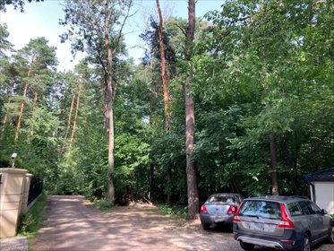Działka 2700 m² w Sękocin Las, cicha okolica - polecam! działka Sękocin Las, Cedrowa