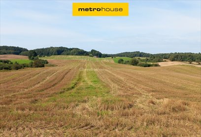 Na sprzedaż działka 52 156 m² w Brzeźnie Szlacheckim działka Brzeźno Szlacheckie