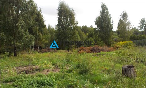 działka na sprzedaż 13551m2 działka Otomin, Wrzosowa