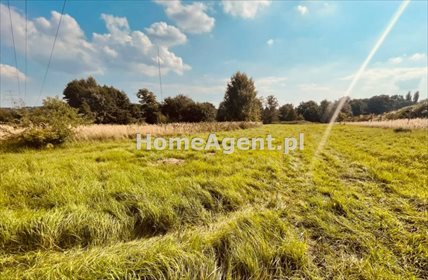 działka na sprzedaż 5000m2 działka Mysłowice, Wesoła, Ogrodowa