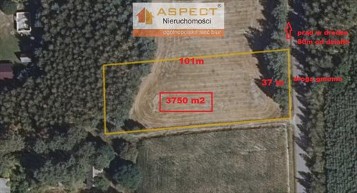 działka na sprzedaż 3750m2 działka GRÓDEK, WIEJKI, WIEJKI