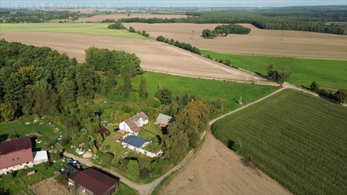 Działka 3239 m² z zabudową siedliskową (Rekowo Lęborskie) działka Rekowo Lęborskie