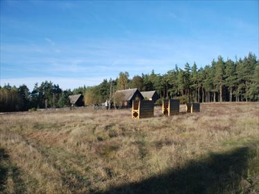 Działka siedliskowa na sprzedaż Krzyż, Xxx, XXX, Xxx 12 001m2 Foto 1