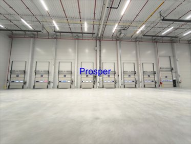 Magazyn 4674 m² z biurami i dokami - polecam lokal użytkowy Tychy