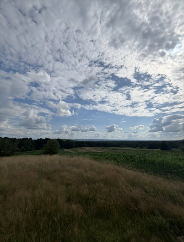 Do sprzedania działka 7 ha pod farmę fotowoltaiczną w Czernichowie działka Czernichów