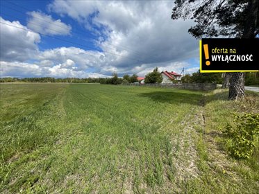 działka na sprzedaż 13200m2 działka Maciejowice